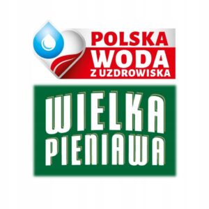 Woda mineralna lecznicza z uzdrowiska Wielka Pieniawa karton 5L
