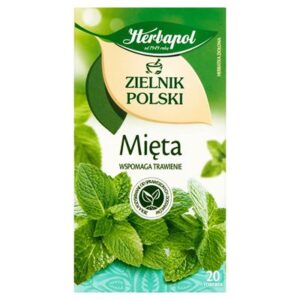 Opakowanie Herbapol Zielnik Polski Mięta 20 torebek 40g